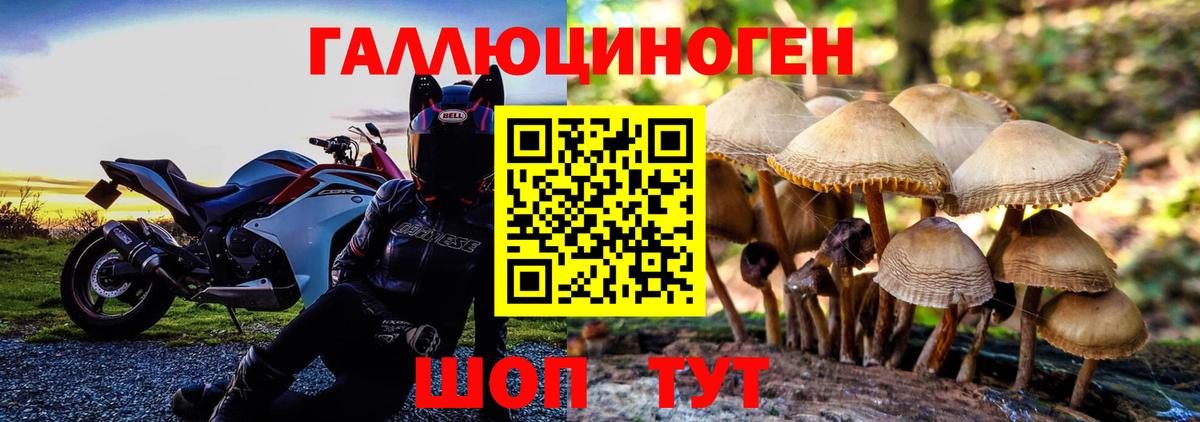 Псилоцибиновые грибы мухоморы  Псилоцибиновые грибы мицелий  Вход с VPN  Саранск 